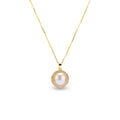 Pearl  pendant necklace on a white background