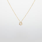 Pearl  pendant necklace on a white background