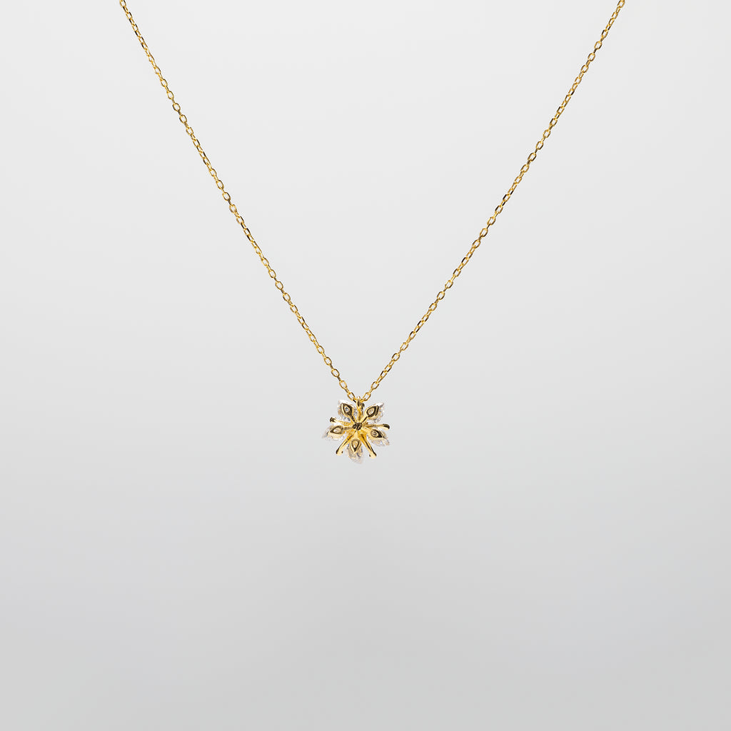 Pearl  pendant necklace on a white background