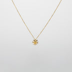 Pearl  pendant necklace on a white background
